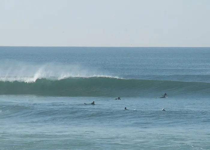 Zambeachouse - Paradise